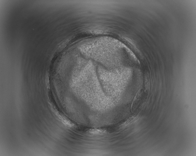 X0000073860453200609071637