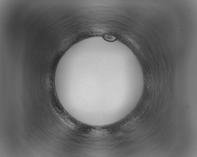 X0000073860455200609071637