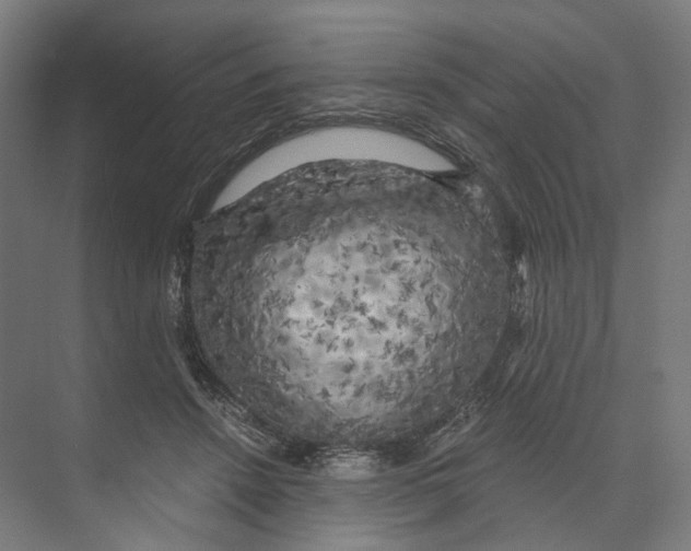 X0000073860456200609071637