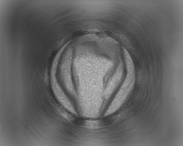 X0000073860457200609071637