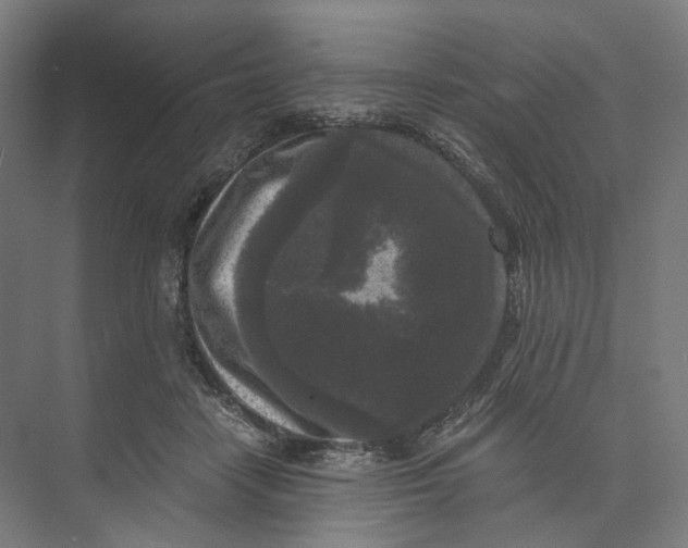 X0000073860458200609071637