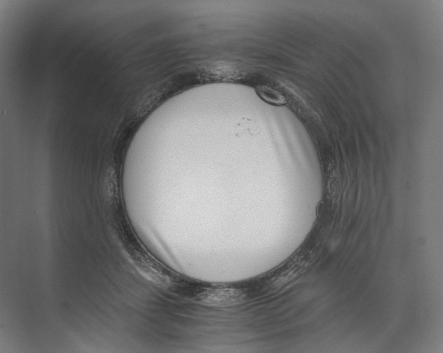 X0000073860459200609071637