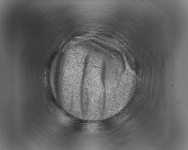 X0000073860462200609071637