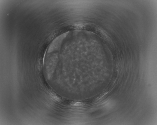 X0000073860467200609071638