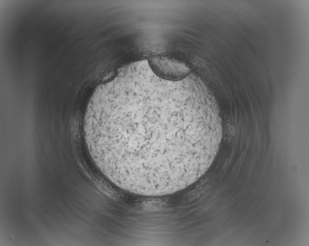 X0000073860468200609071638