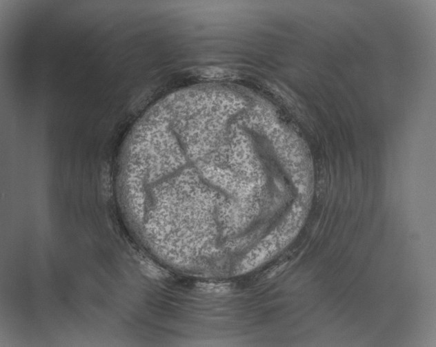 X0000073860469200609071638