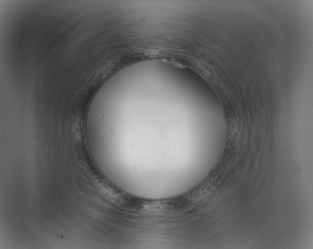 X0000073860470200609071638