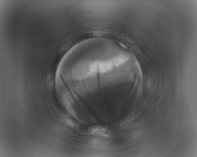 X0000073860471200609071638