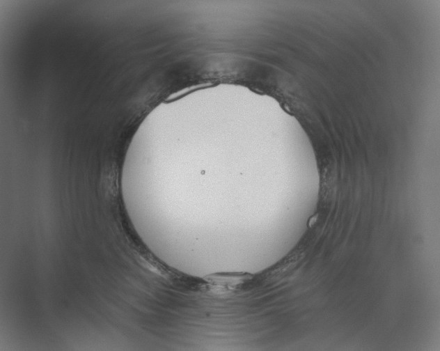 X0000073860474200609071638