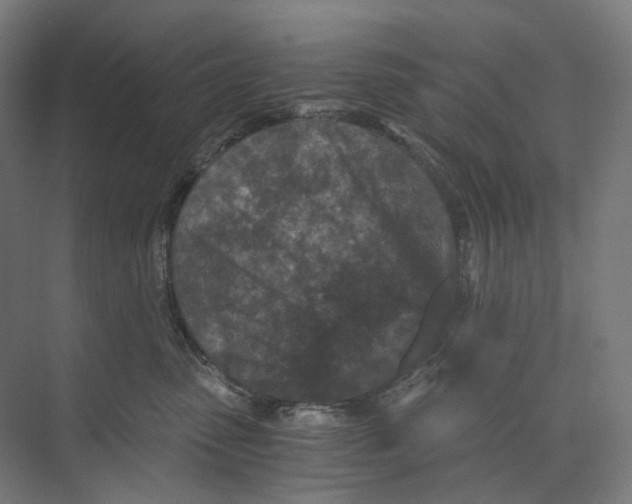 X0000073860475200609071638