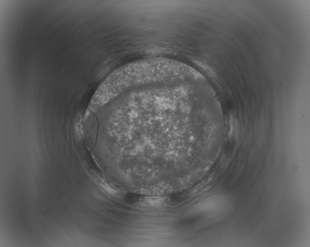 X0000073860479200609071638