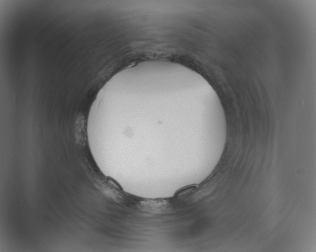 X0000073860480200609071638