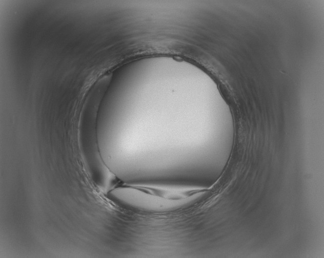 X0000073860481200609071637