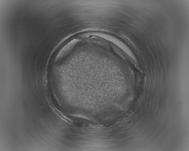 X0000073860484200609071637