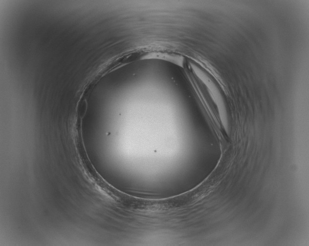 X0000073860485200609071637