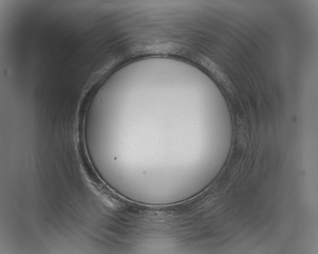 X0000073860486200609071637