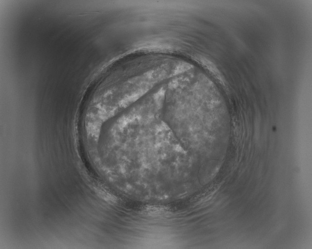 X0000073860487200609071637