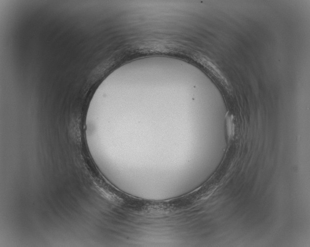 X0000073860489200609071637