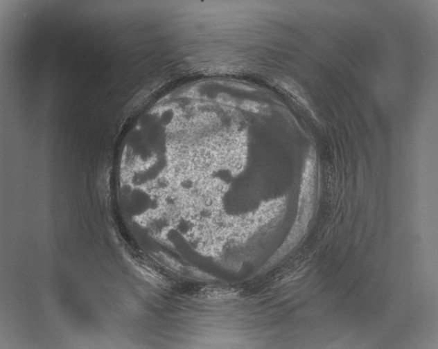 X0000073860491200609071637