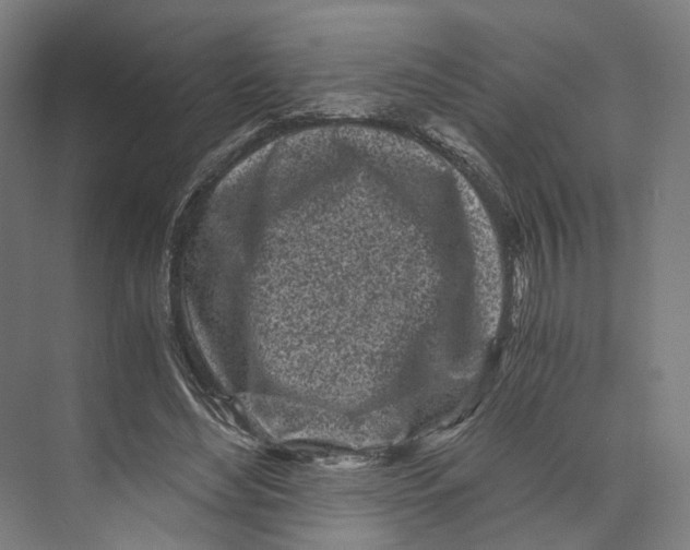 X0000073860492200609071637