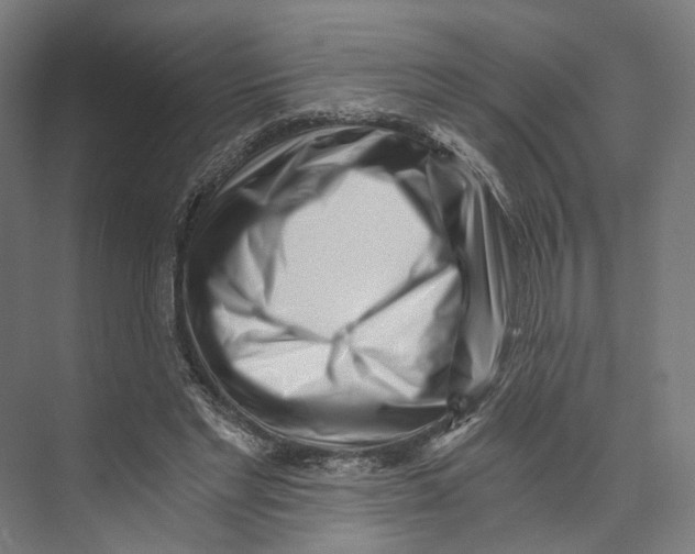 X0000073860493200609071637