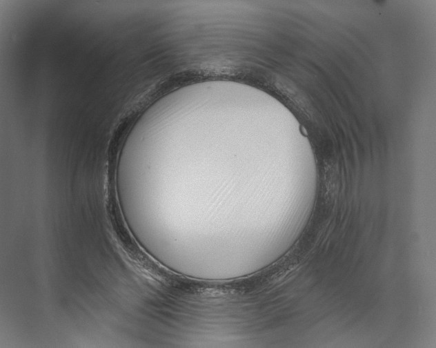 X0000073860494200609071637