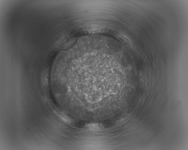 X0000073860499200609071637