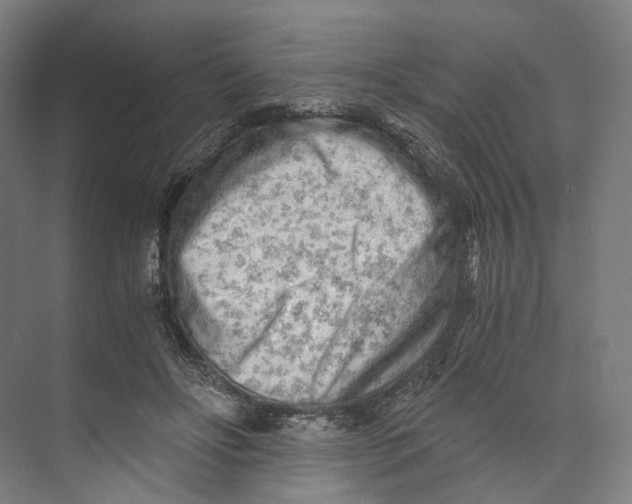 X0000073860502200609071637