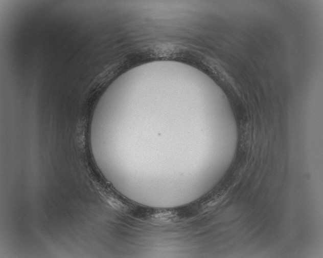 X0000073860505200609071637