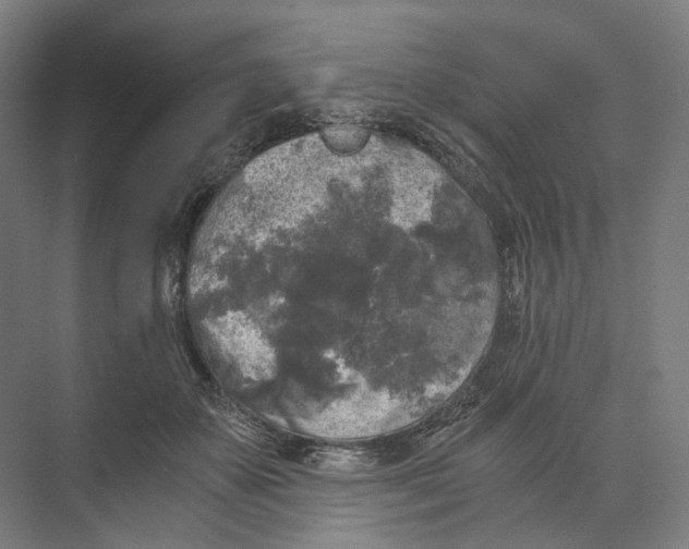 X0000073860507200609071636