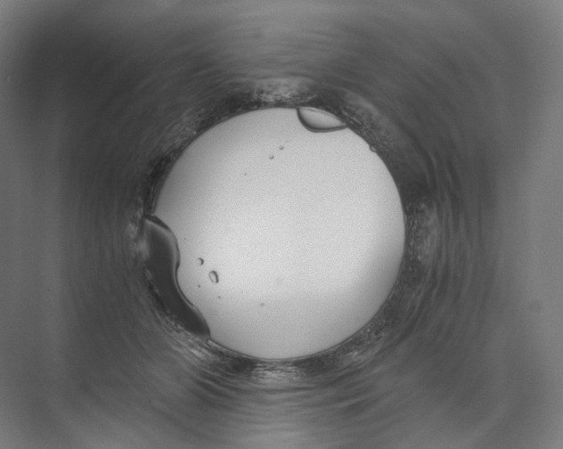 X0000073860510200609071636