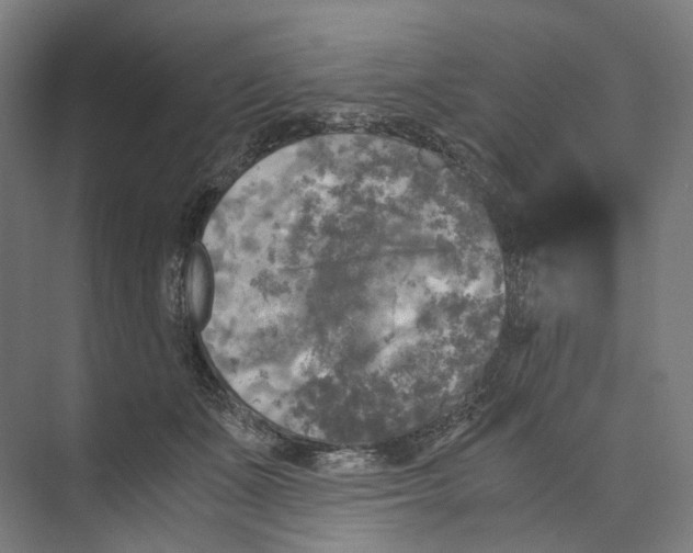 X0000073860511200609071636