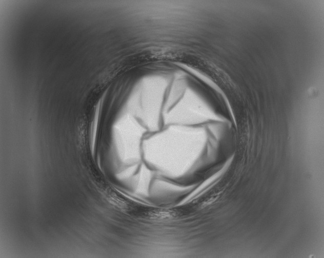 X0000073860513200609071636