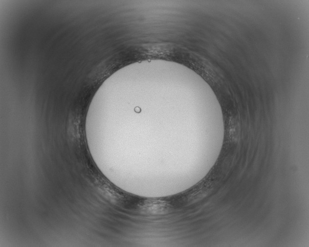 X0000073860514200609071636