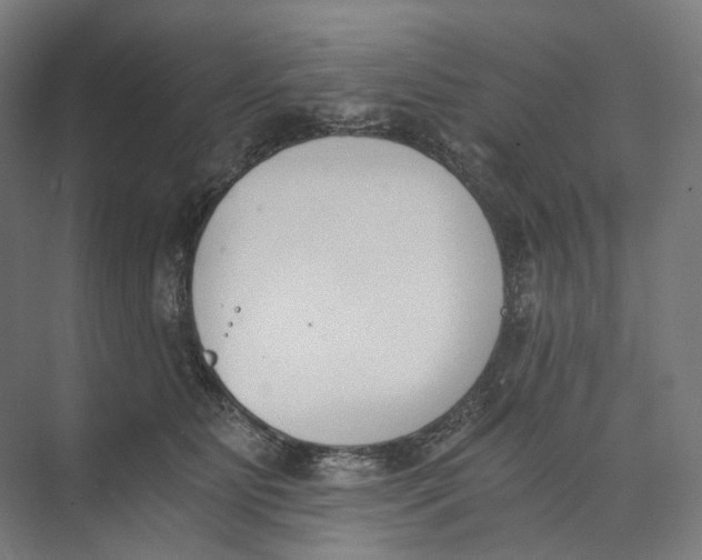 X0000073860515200609071636