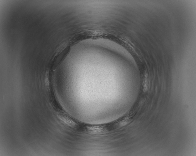 X0000073860516200609071636