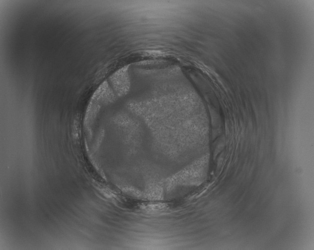 X0000073860517200609071636