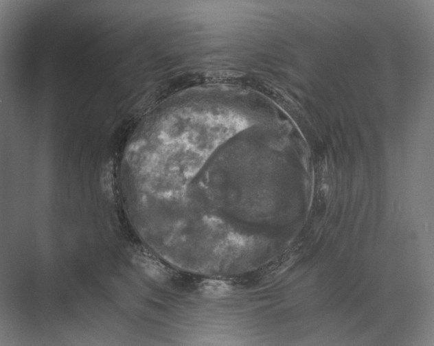 X0000073860519200609071636