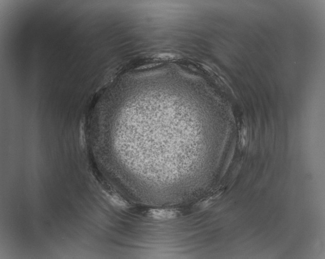 X0000073860520200609071636