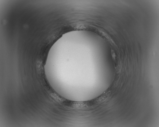 X0000073860521200609071636