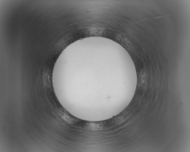 X0000073860522200609071636