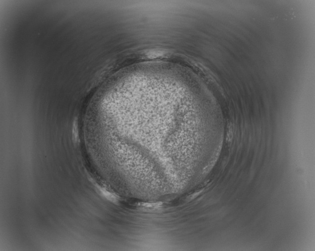 X0000073860524200609071636