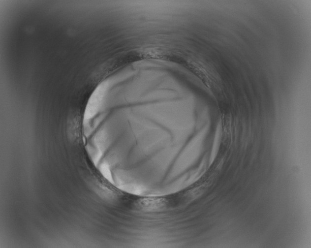 X0000073860526200609071636