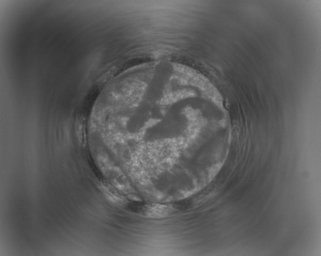 X0000073860527200609071636