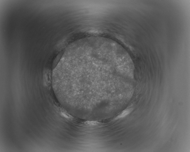 X0000073860528200609071636