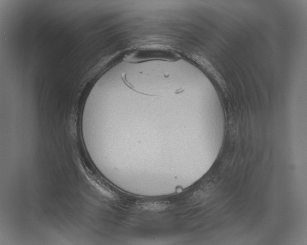 X0000073860533200609071635