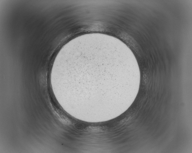 X0000073860534200609071635