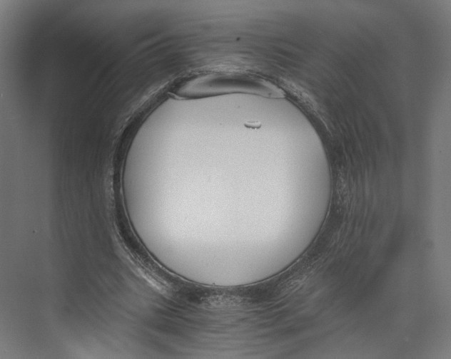 X0000073860535200609071635