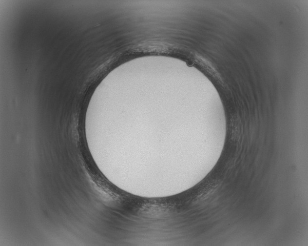 X0000073860538200609071635