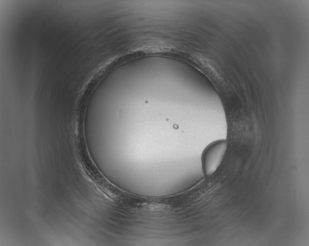 X0000073860539200609071635